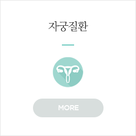 자궁질환