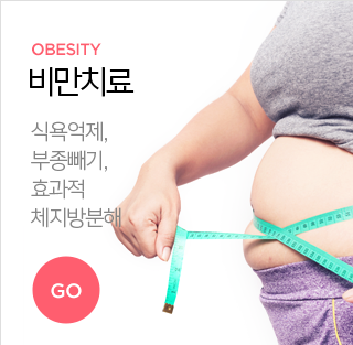 비만치료